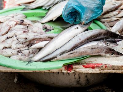 Imported Foods Are Making More Americans Sick