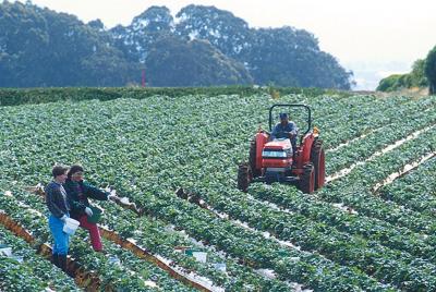 New Certification to Help Farmers That Are Transitioning to Organic