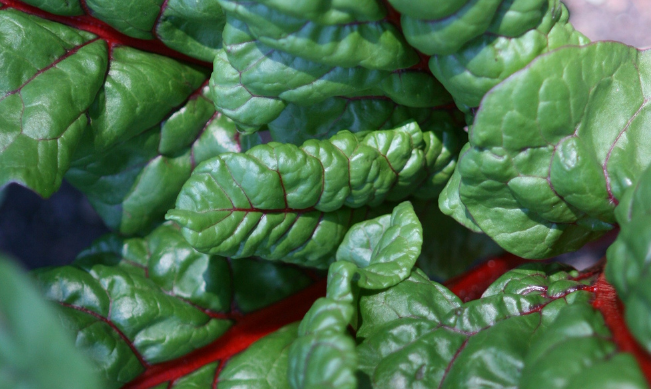 Источник: www.flickr.com/photos/ardenteye/2778275131/in/phot Источник: www.flickr.com/photos/ardenteye/2778275131/in/phot