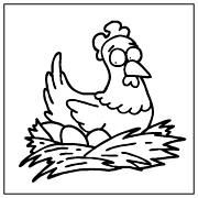 Honest Free Range Organic Eggs