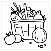 Organically Grown Radish