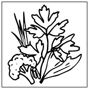 Organically Grown Spicy Lettuce Mix