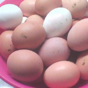 Яйцо куриное деревенское